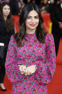 Premiere 'Light of My Life', Berlinale 2019