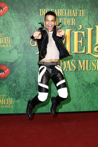 Europapremiere von 'Die fabelhafte Welt der Amelie - Das Musical' in München