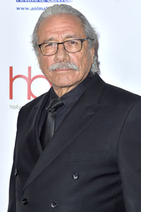 Hollywood Beauty Awards 2019 in Los Angeles