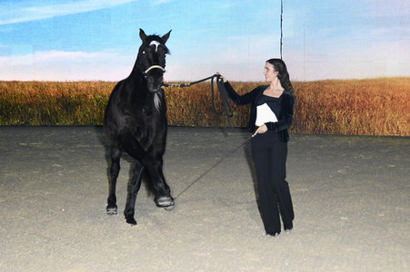 Filmpremiere 'Ostwind - Aris Ankunft' in München