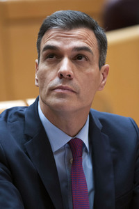 Pedro Sanchez bei Senatssitzung in Madrid