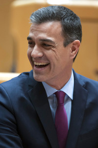 Pedro Sanchez bei Senatssitzung in Madrid