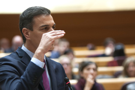 Pedro Sanchez bei Senatssitzung in Madrid