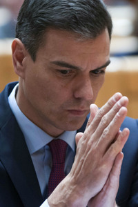 Pedro Sanchez bei Senatssitzung in Madrid