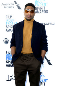 Film Independent Spirit Awards 2019 in Santa Monica