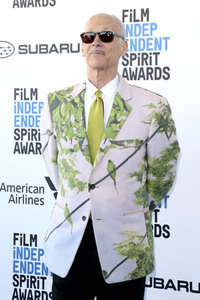 Film Independent Spirit Awards 2019 in Santa Monica