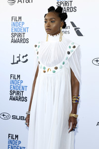 Film Independent Spirit Awards 2019 in Santa Monica