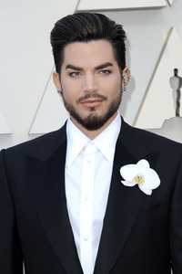 Oscar-Verleihung 2019 in Los Angeles