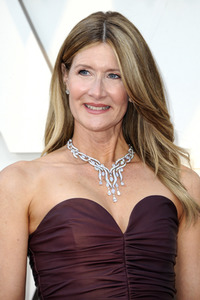 Oscar-Verleihung 2019 in Los Angeles