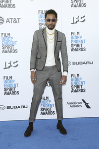 Film Independent Spirit Awards 2019 in Santa Monica