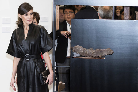 Eröffnung der ARCOmadrid 2019 in Madrid