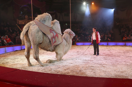 Premiere 3. Winterprogramm 2019 Circus Krone in München