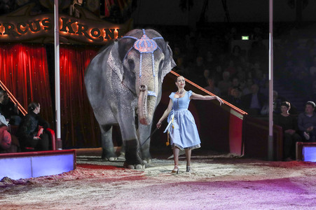 Premiere 3. Winterprogramm 2019 Circus Krone in München
