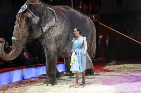 Premiere 3. Winterprogramm 2019 Circus Krone in München