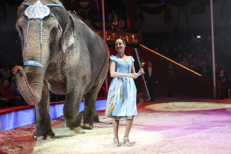 Premiere 3. Winterprogramm 2019 Circus Krone in München