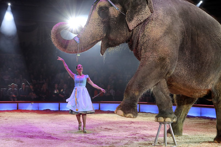 Premiere 3. Winterprogramm 2019 Circus Krone in München