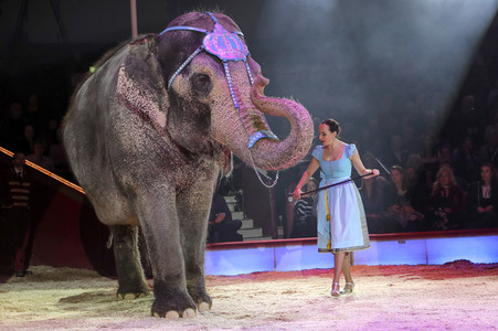 Premiere 3. Winterprogramm 2019 Circus Krone in München