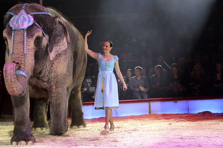 Premiere 3. Winterprogramm 2019 Circus Krone in München