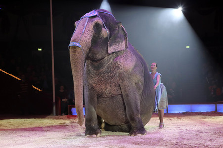 Premiere 3. Winterprogramm 2019 Circus Krone in München