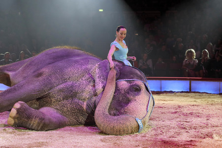 Premiere 3. Winterprogramm 2019 Circus Krone in München