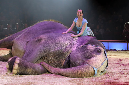 Premiere 3. Winterprogramm 2019 Circus Krone in München