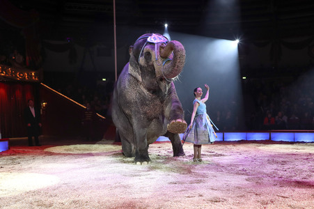 Premiere 3. Winterprogramm 2019 Circus Krone in München