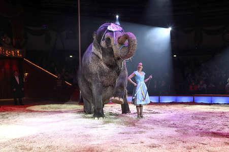 Premiere 3. Winterprogramm 2019 Circus Krone in München