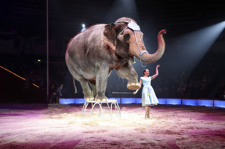 Premiere 3. Winterprogramm 2019 Circus Krone in München