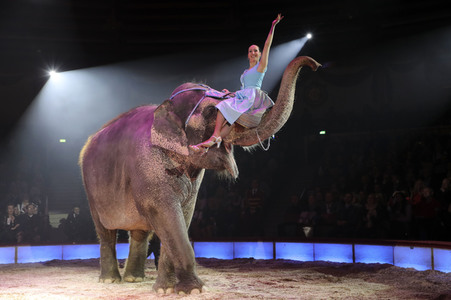 Premiere 3. Winterprogramm 2019 Circus Krone in München