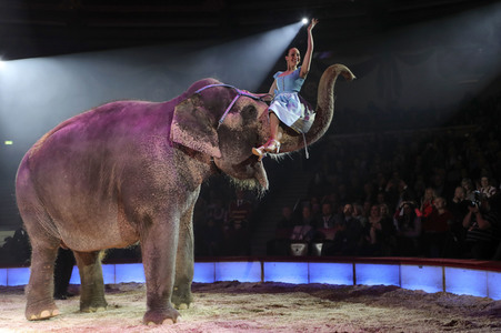 Premiere 3. Winterprogramm 2019 Circus Krone in München