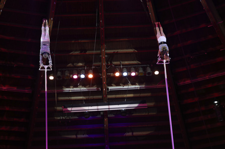 Premiere 3. Winterprogramm 2019 Circus Krone in München