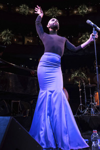 Opernball 2019 in Hannover