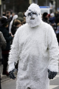 Karnevalsumzug 2019 in Hannover