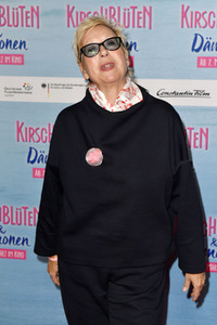 Filmscreening 'Kirschblüten & Dämonen' in Berlin