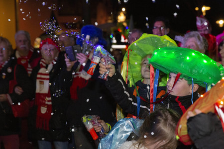 Veilchendienstagszug in Köln
