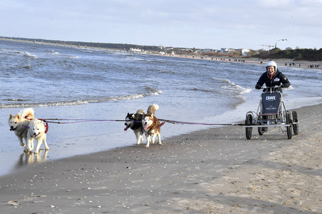 Baltic Lights 2019 auf Usedom