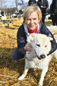 Baltic Lights Hunderennen 2019 auf Usedom