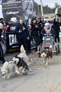 Baltic Lights Hunderennen 2019 auf Usedom