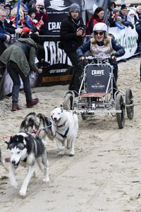 Baltic Lights Hunderennen 2019 auf Usedom