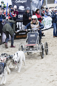 Baltic Lights Hunderennen 2019 auf Usedom