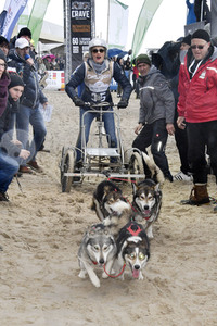 Baltic Lights Hunderennen 2019 auf Usedom