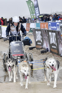 Baltic Lights Hunderennen 2019 auf Usedom