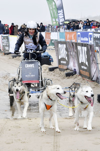 Baltic Lights Hunderennen 2019 auf Usedom
