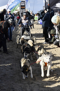 Baltic Lights Hunderennen 2019 auf Usedom