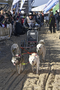 Baltic Lights Hunderennen 2019 auf Usedom