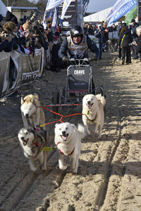 Baltic Lights Hunderennen 2019 auf Usedom