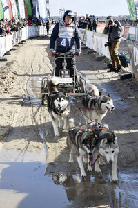 Baltic Lights Hunderennen 2019 auf Usedom