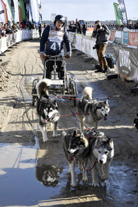 Baltic Lights Hunderennen 2019 auf Usedom