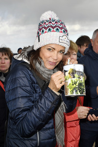 Baltic Lights Hunderennen 2019 auf Usedom