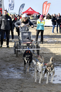Baltic Lights Hunderennen 2019 auf Usedom